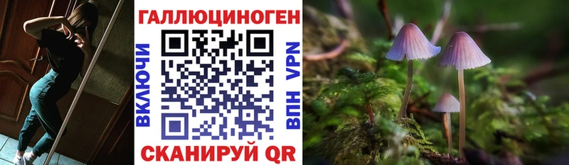 Псилоцибиновые грибы Psilocybe Соликамск
